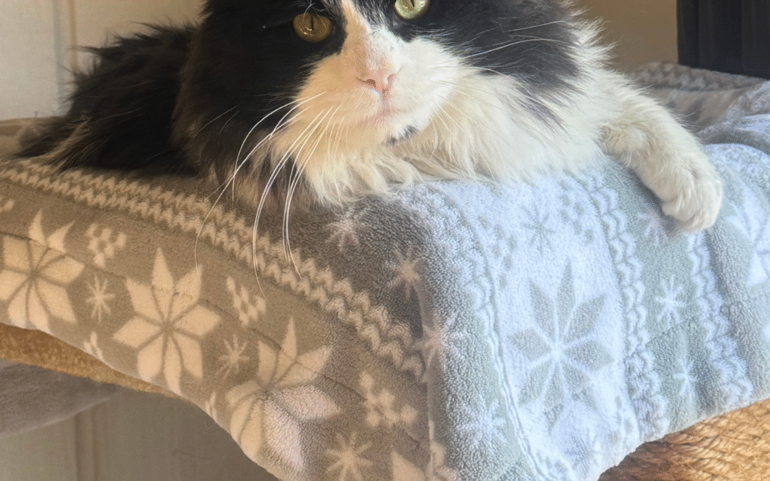 60 Stories in 60 Days: Joy in Unexpected Places