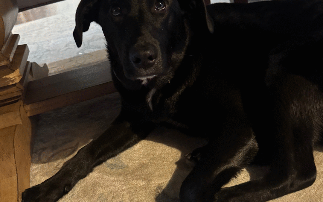 60 Stories in 60 Days: An Unexpected Addition