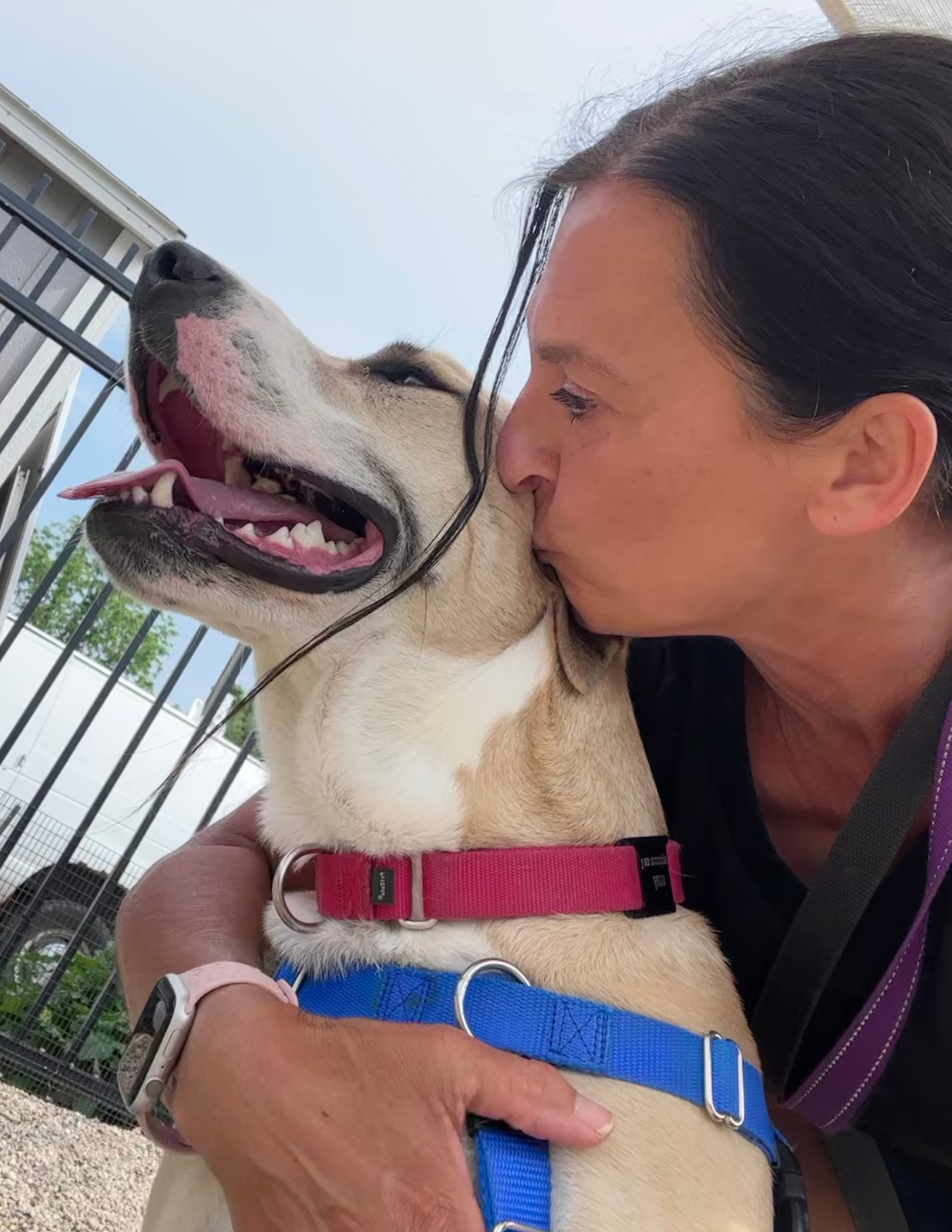 Story Featured Images – Website (6)