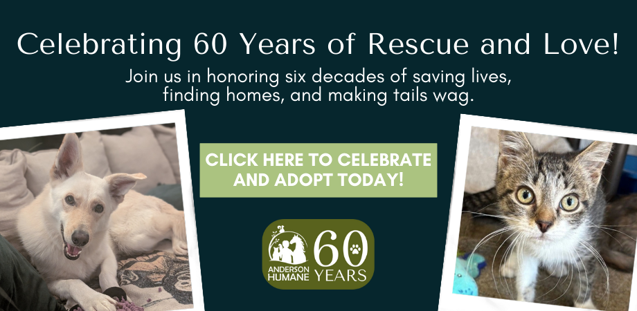 Website Pop-Ups (11)