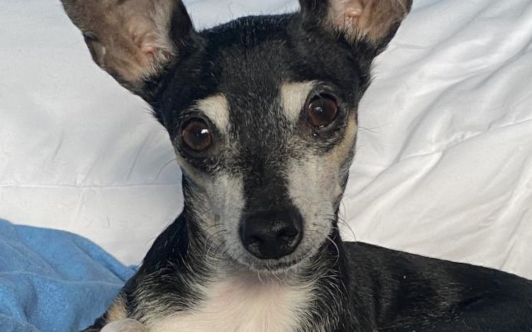 60 Stories in 60 Days: When Trust Takes Root