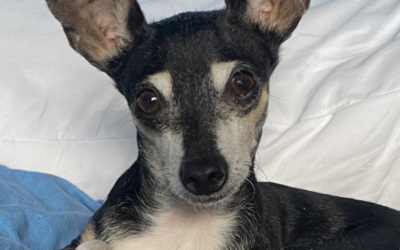 60 Stories in 60 Days: When Trust Takes Root