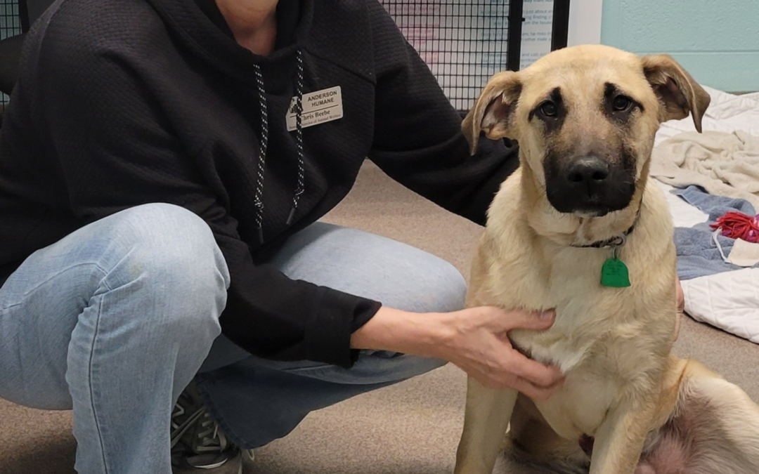 60 Stories in 60 Days: When Love Walked Into My Office