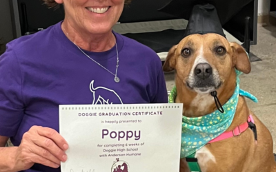 60 Stories in 60 Days: Helping Poppy Blossom