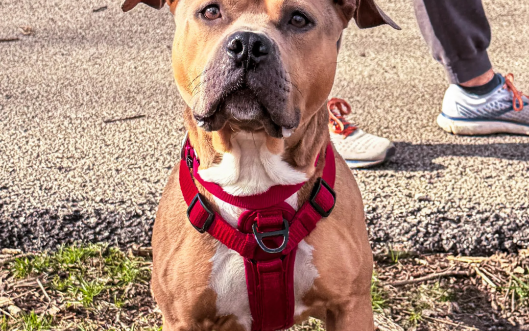 60 Stories in 60 Days: Making Room for More