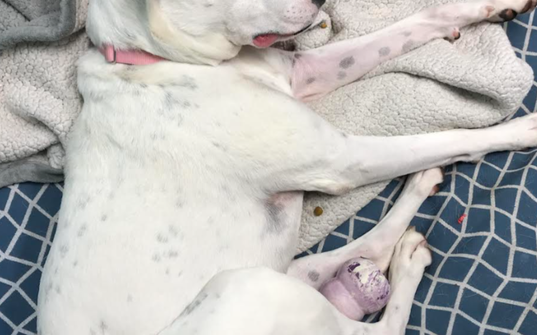 60 Stories in 60 Days: Time, Trust, and Second Chances