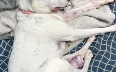 60 Stories in 60 Days: Time, Trust, and Second Chances