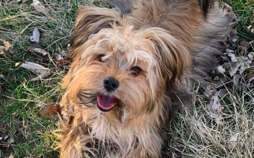 60 Stories in 60 Days: Watching Love Take Shape