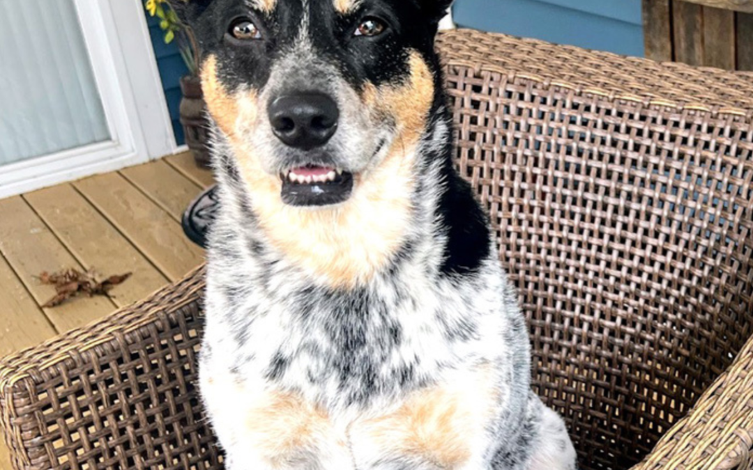 60 Stories in 60 Days: A Collaboration That Changed Everything