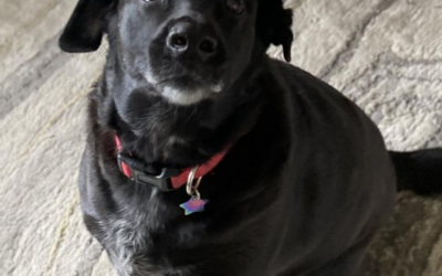 60 Stories in 60 Days: One Yes That Became a Way of Life