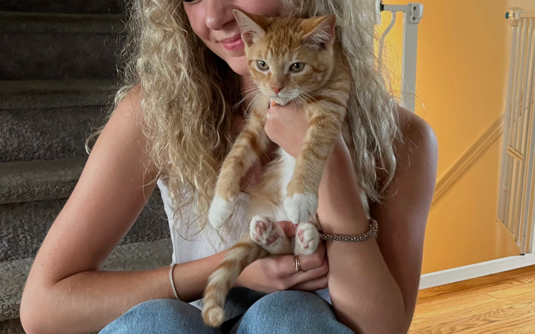 60 Stories in 60 Days: The Missing Piece