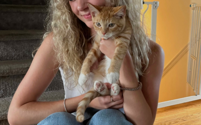 60 Stories in 60 Days: The Missing Piece