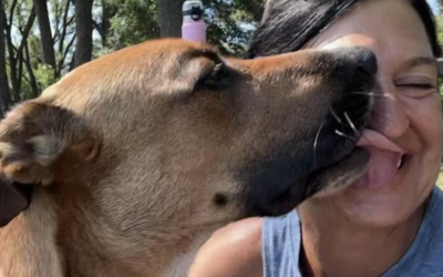 60 Stories in 60 Days: Waiting for the Right Moment