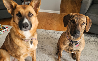 60 Stories in 60 Days: Love Was Waiting in Line