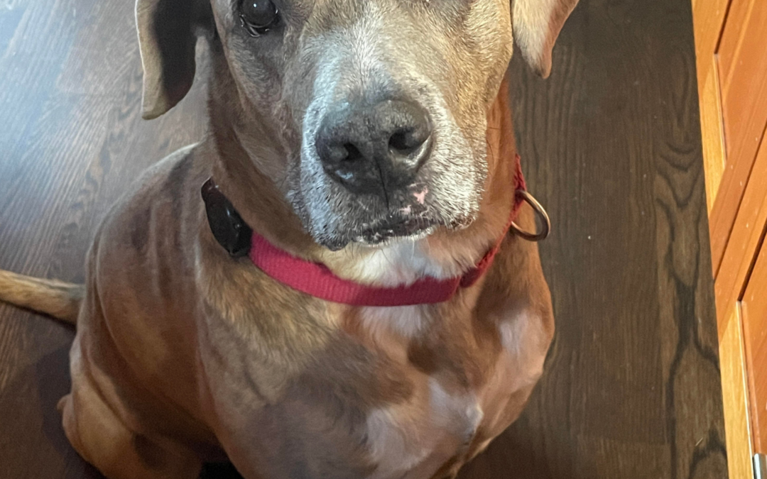 60 Stories in 60 Days: When the Stars Aligned