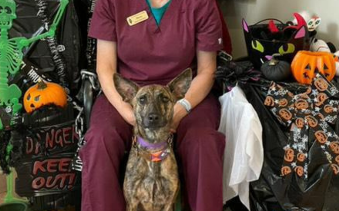 60 Stories in 60 Days: A Journey of Second Chances