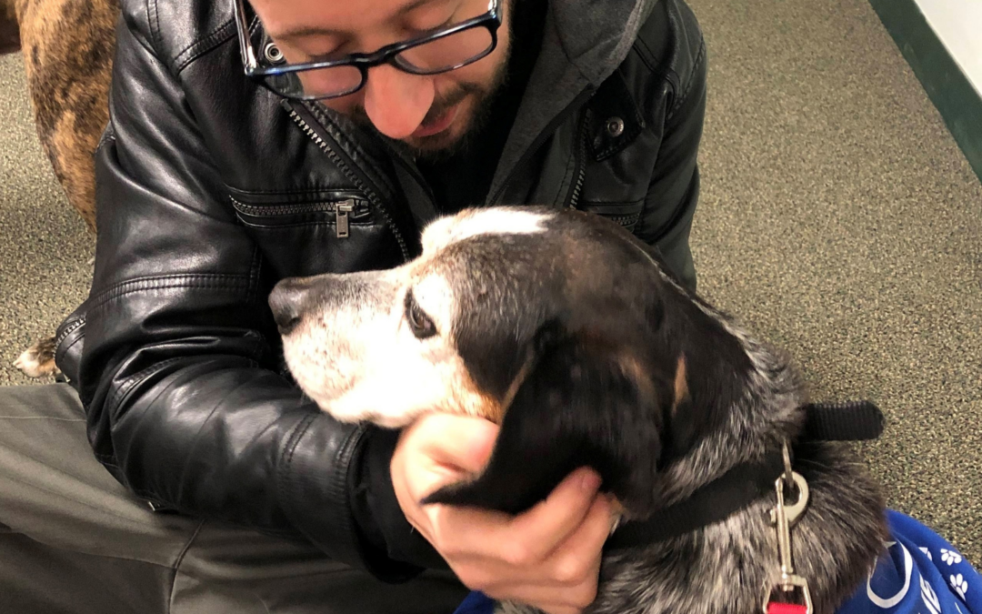 60 Stories in 60 Days: An Unplanned Yes