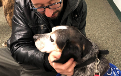 60 Stories in 60 Days: An Unplanned Yes