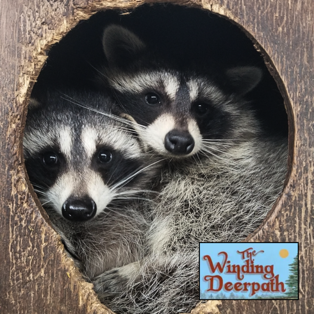 The Winding Deerpath Donation Drive for Anderson Humane Wildlife Center ...