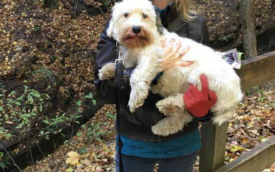 Kristin’s Journey: Paying Love Forward