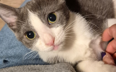 Kim’s Journey: A Path to Healing