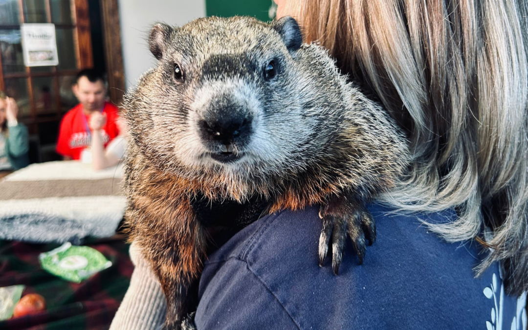 Margaret’s Journey: A Voice for Our Wild Neighbors