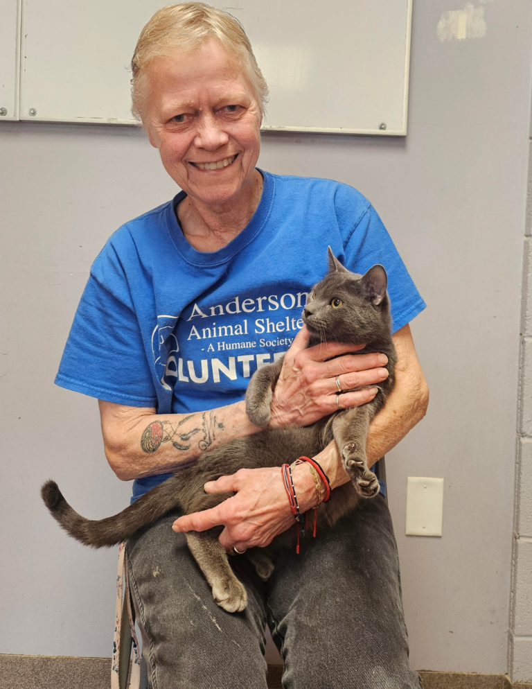 A Champion For Cats: Celebrating Nancy Sepp