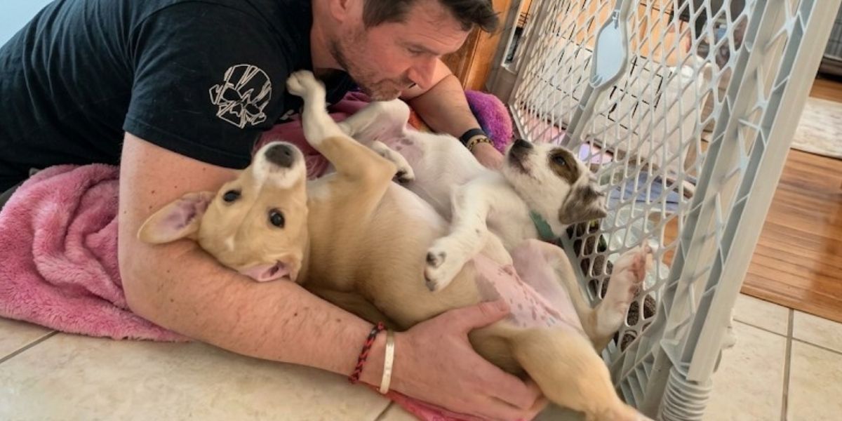 Anderson Humane foster volunteer with an animal