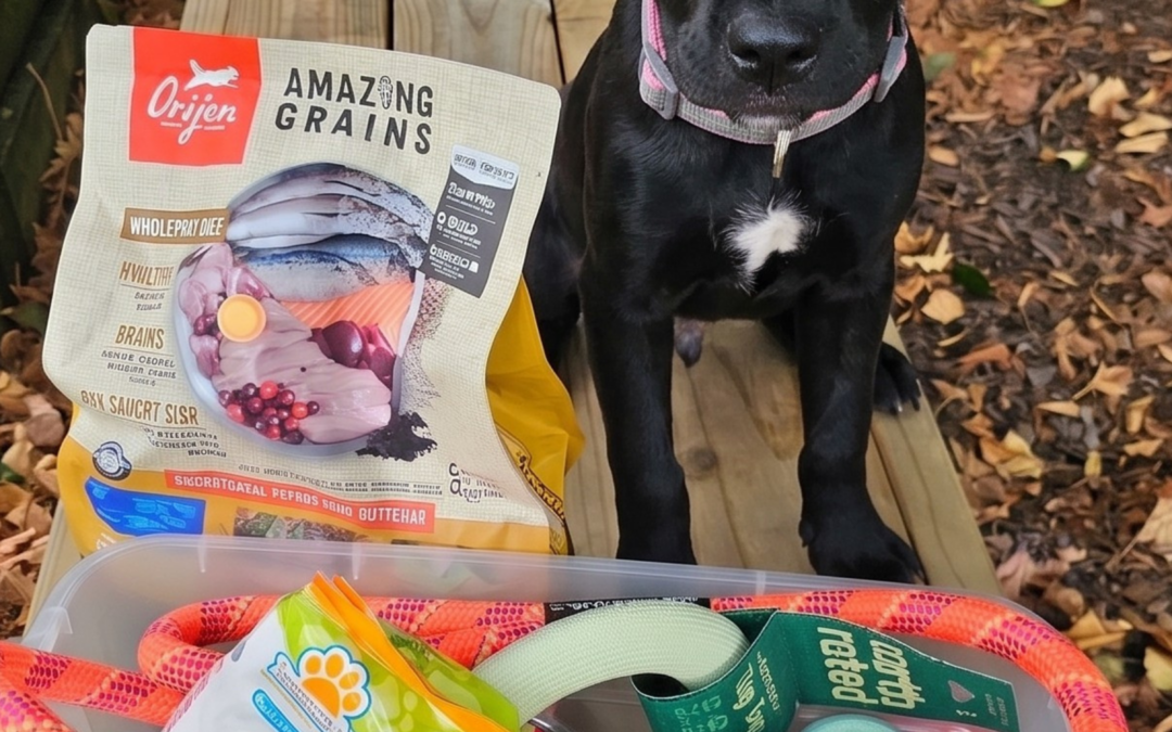 When Disaster Strikes: Is Your Pet Ready?