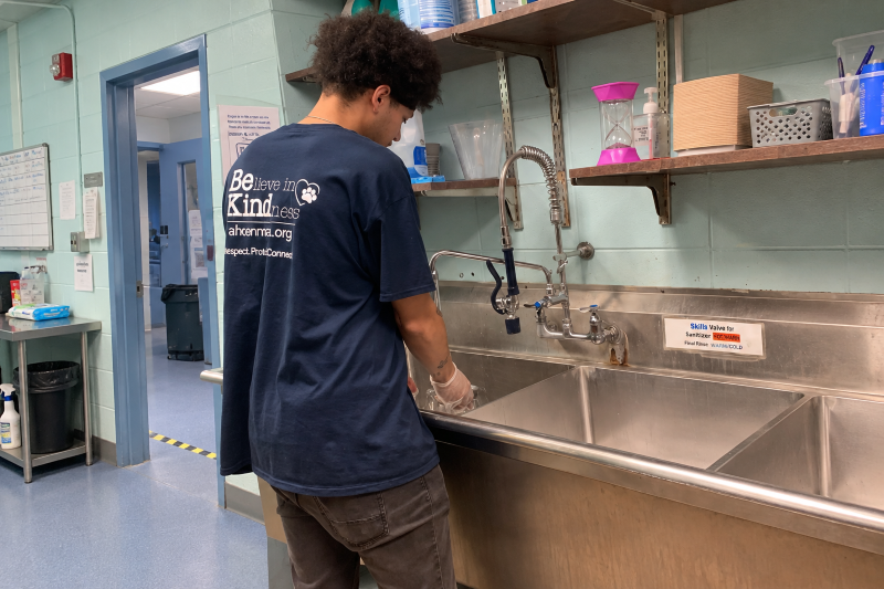 AH-Dishes-Volunteer